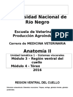 U.T. 1 Módulos 3 y 4 - Región Ventral Del Cuello y Tórax