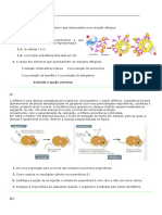 Ficha de Trabalho 4 Sistema Imunitario