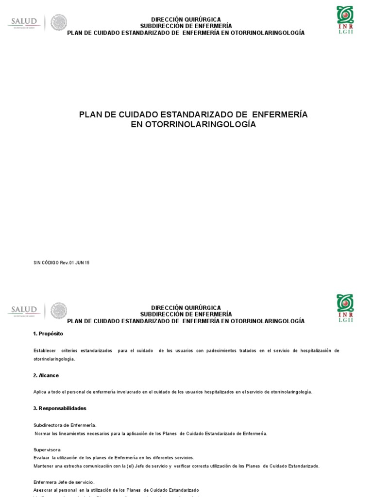 Plan de Cuidados Estandarizados en Otorrinolaringología | PDF ...