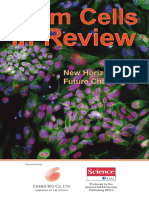 stem_cell_review.pdf