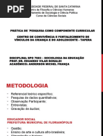 Paul Willis - Trabalho PPCC.pptx
