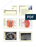 Introducao e Filtracao PDF