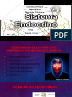 El sistema endocrino 