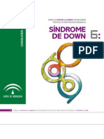 Guía sobre síndrome de Down