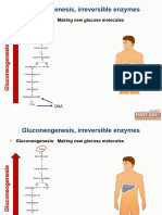 Metabolism 5