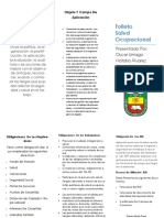 Folleto de Salud Ocupacional PDF