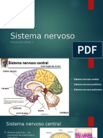 Sistema Nervoso