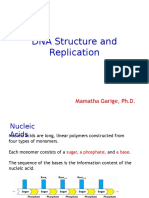 DNA Structure and Replication: Mamatha Garige, PH.D