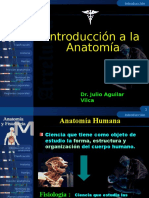 Anatomia Derecho 2014
