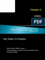 Chapter 5 Banking - CAMEL NEW