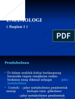 Enzimologi Final