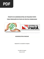 Projeto de Agroindustria de Pequeno Porte Para Produção de Polpa de Frutas Congelada Regional Conceição Do Araguaia