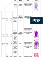 Etapas de la linfoformación y características de las células linfoides