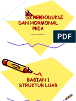 Alat Reproduksi Pria