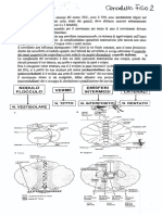 Neurofisiologia Benfenati.pdf