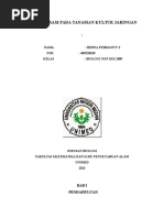 Download Aklimatisasi Pada Tanaman Kultur Jaringan by long  SN324885238 doc pdf