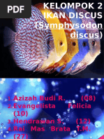 Download ppt ikan Discus by nanda SN324886074 doc pdf