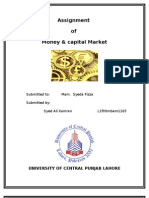 Assignment of Money & Capital Market: University of Central Punjab Lahore