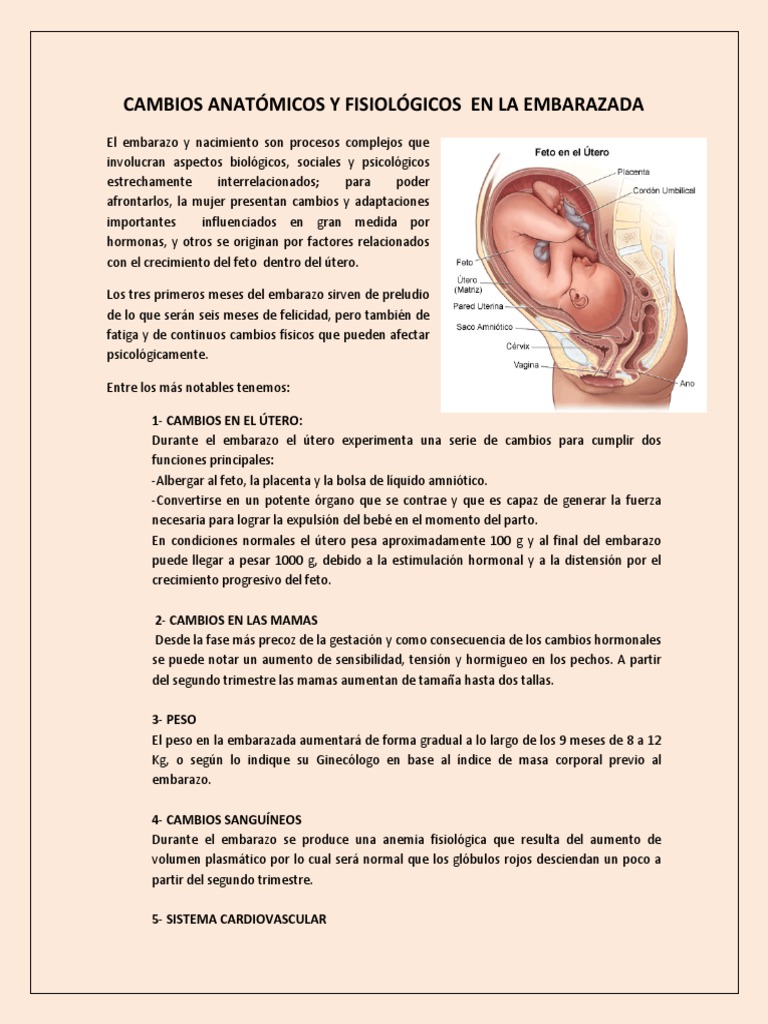 25131 Cambios Anatomicos Y Fisiologicos En La Embarazadapdf