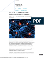 Efectos de La Meditación Mindfulness en El Cerebro - Psy'n'thesis PDF