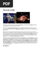 Diversity of Fish: by Species