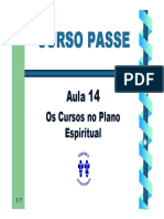 14 Os Cursos No Plano Espiritual PDF