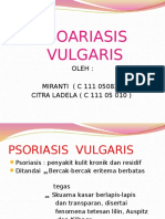 Presentation2  p. VuLgaris