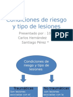 323295787-Condiciones-de-Riesgo-y-Tipo-de-Lesiones (1).pdf