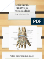 Riešo Kaulu Jungtys Su Delnakauliais