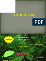 Fotosintesis