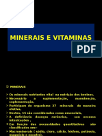 Minerais e Vitaminas