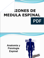 Clase Medula Espinal