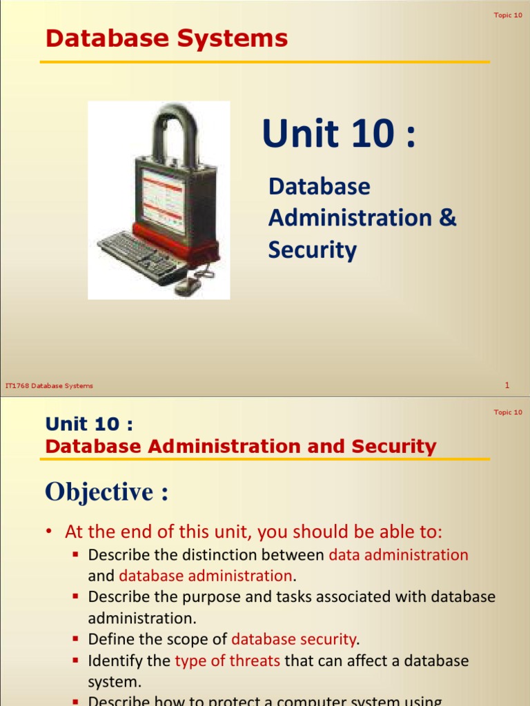 Lecture 10 - Database Administration and Security PDF | PDF