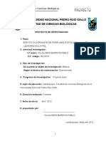 Proyecto de Investigacion