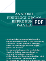 Anatomi Fisiologi Organ Reproduksi Wanita