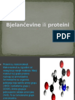 Bjelančevine Ili Proteini