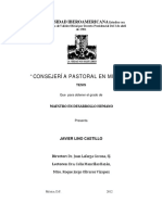 Consejeria Pastoral PDF