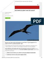 ¿Cómo Logran Las Aves Dormir en Pleno Vuelo Sin Caerse - BBC Mundo