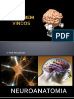 Aula Neuroanatomia Psicologia