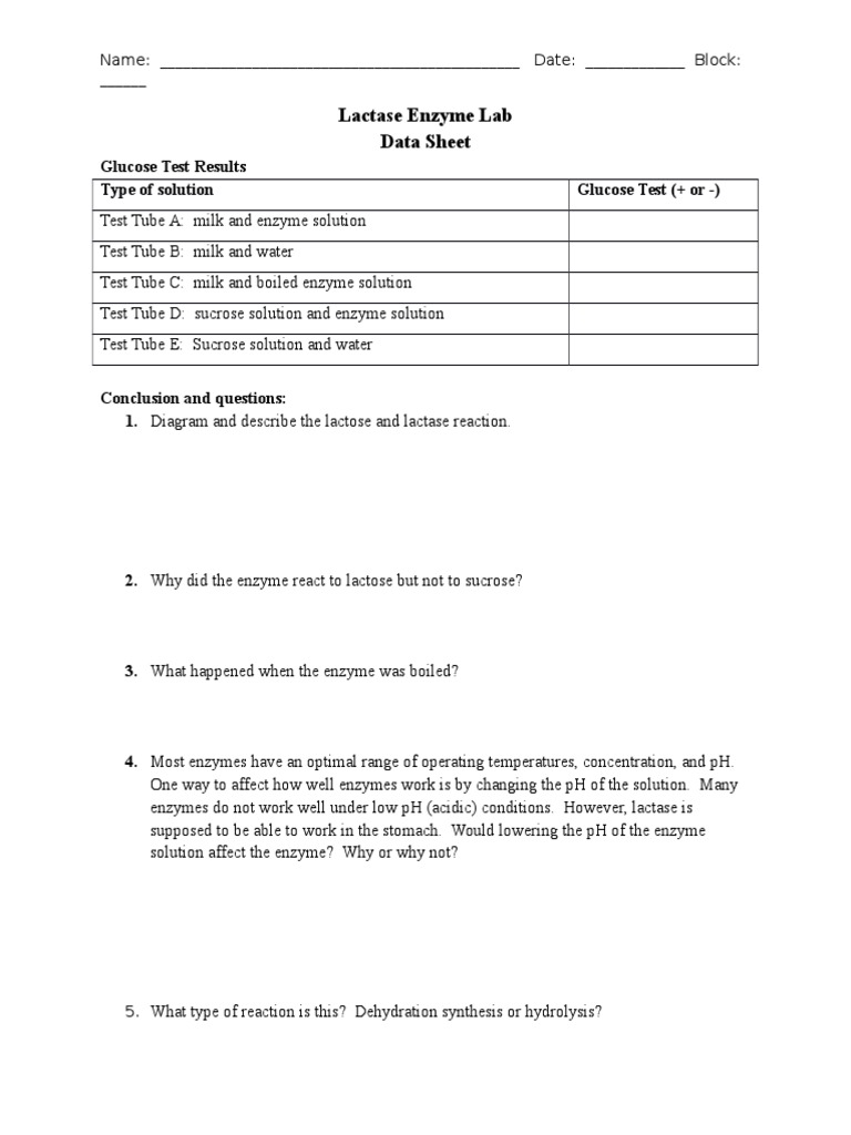 Lactase Enzyme Lab PDF
