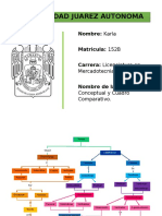 Mapa Conceptual de La Ciencia