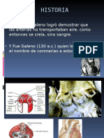 Coronarias Anatomia