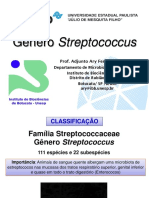 Gênero Streptococcus: Características e Importância Clínica