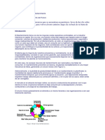 PMO2.pdf