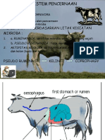 Bab I. FIS. PENCERNAAN RUM - LENGKAP