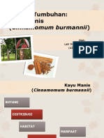 PPT Kayu Manis