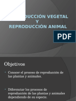 Reproduccion Vegetal y Animal