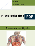 Histologia Do Fígado