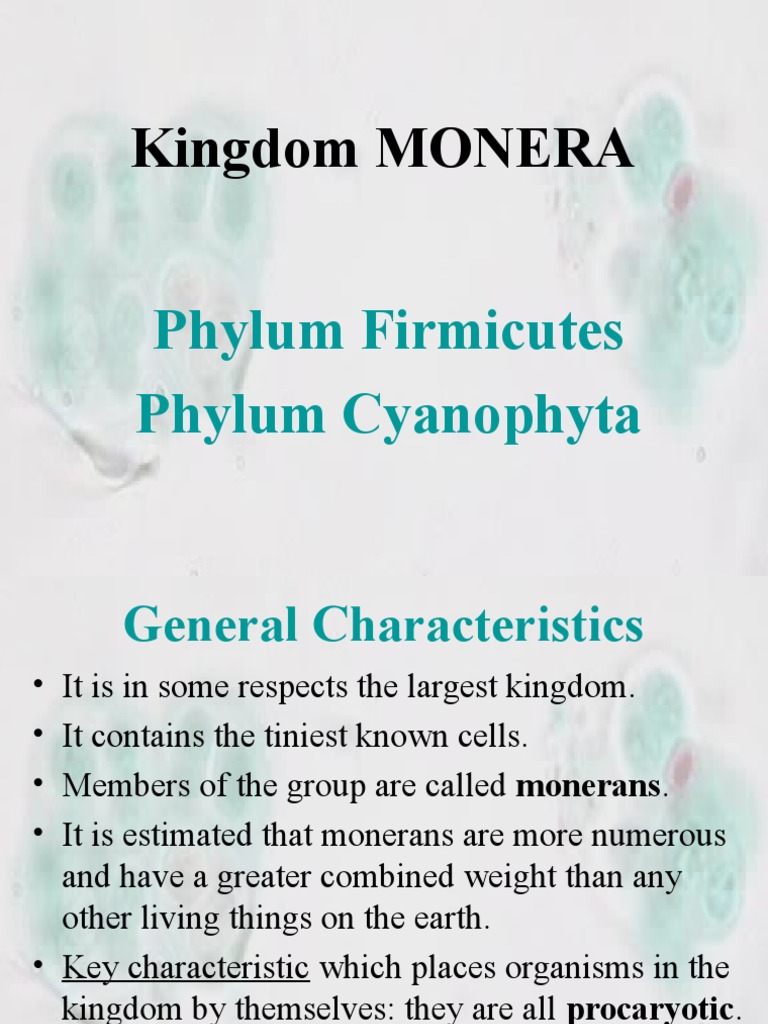 Characteristics of Kingdom Monera | PDF | Science & Mathematics |  Technology & Engineering
