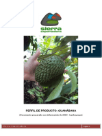 Perfil de Producto - Guanabana Fresca